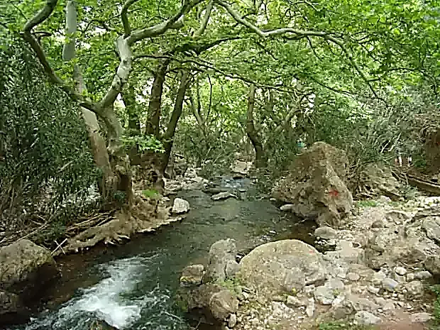 Ταξίδι ευεξίας του Σώματος Τέχνη