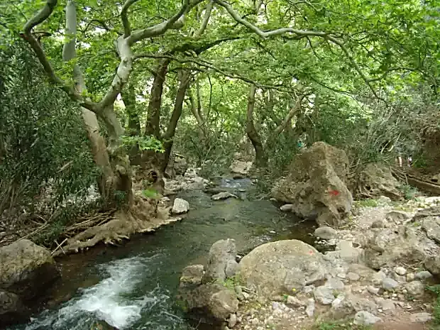 Ταξίδι ευεξίας του Σώματος Τέχνη